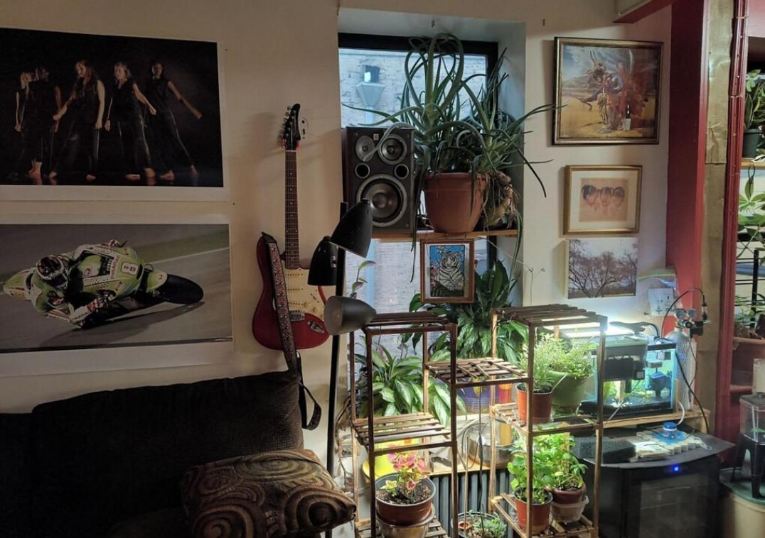 My Homestay